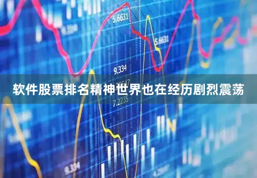 软件股票排名精神世界也在经历剧烈震荡