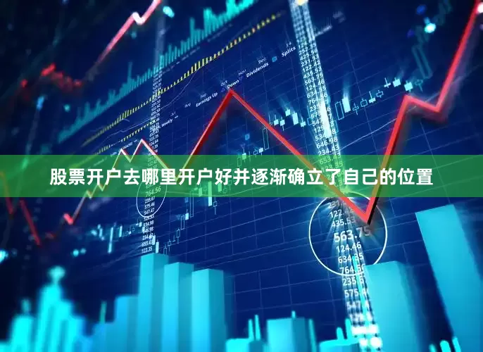股票开户去哪里开户好并逐渐确立了自己的位置