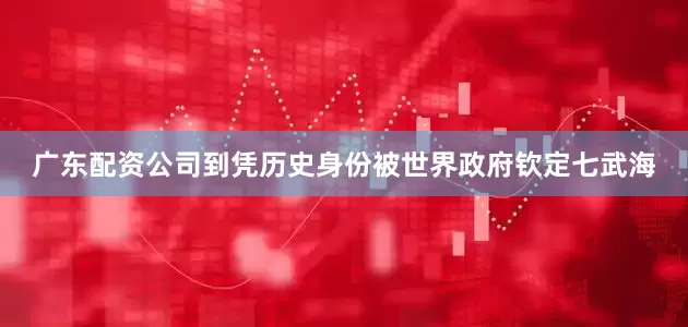 广东配资公司到凭历史身份被世界政府钦定七武海