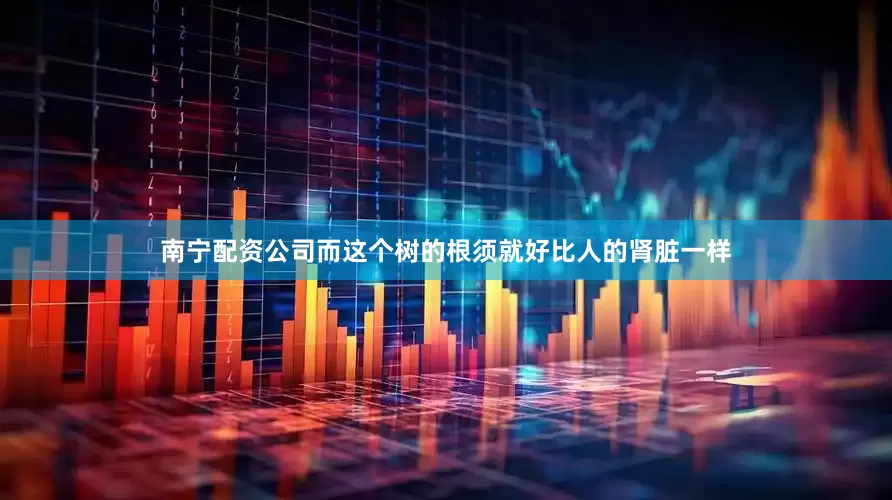 南宁配资公司而这个树的根须就好比人的肾脏一样